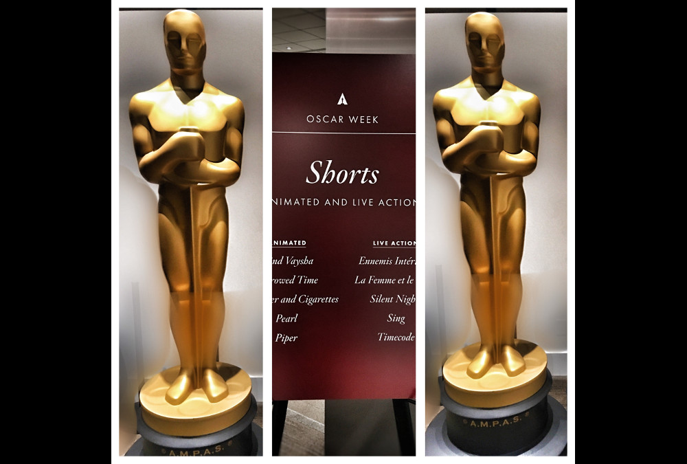 Shorts Night At The Academy